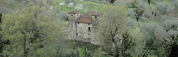 Da Sant'Angelo a Fasanella a Corleto Monforte: il sentiero degli antichi mulini - domenica 2 aprile 2017