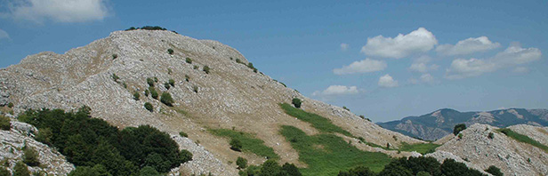 Monte delle Puglie: traversata integrale da Sella del Corticato a Teggiano - domenica 16 luglio 2017