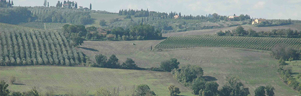 Firenze : anello di Pian Dei Cerri