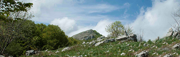 Monti Alburni: un anello per Monte Tirone - lunedi 30 aprile 2018