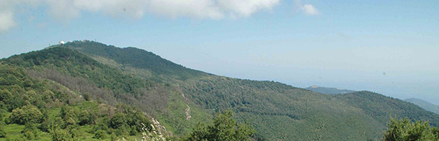 Monte Stella Cilento : escursione ad anello - domenica 1 luglio 2018
