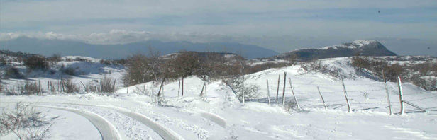 Monti Alburni: traversata da Tempa del Prato a Costa Palomba - con il gruppo speleologico DAUNO - domenica 27 gennaio 2019