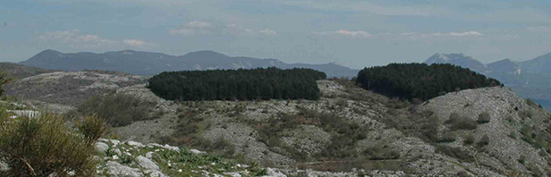 Il sentiero dei pastori - traversata da Castelcivita a Ottati - 20 aprile 2019