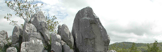 L'antece - Costa Palomba dei Monti Alburni - 19 maggio 2019