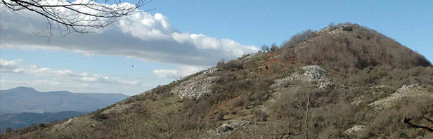 Costa Palomba - Monti Alburni - lunedi 6 gennaio 2020