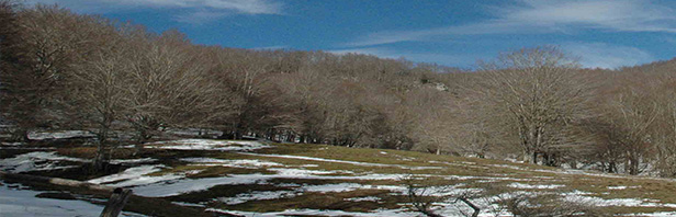 Ciaspolata rifugio Varroncelli-Panormo - Monti Alburni - 9 febbraio 2020