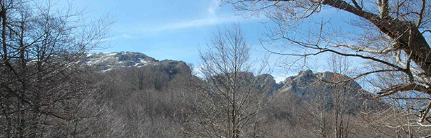 Monte Cervati - domenica 23 febbraio 2020