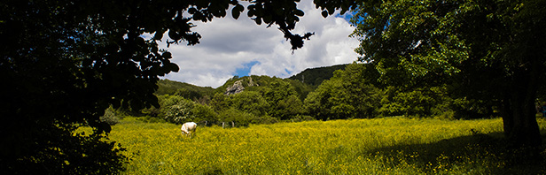 Grotta di Frà Gentile - monti Alburni - lunedi 25 maggio 2020