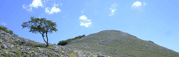 Traversata integrale del monte Puglia - domenica 21 giugno 2020