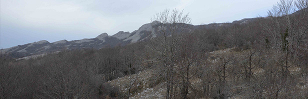 Timpa di Don Vincenzo - alburni occidentali - 7 febbraio 2021
