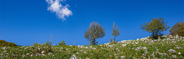 Anello del Monte Carmelo - Alburni orientali - domenica 9 maggio 2021
