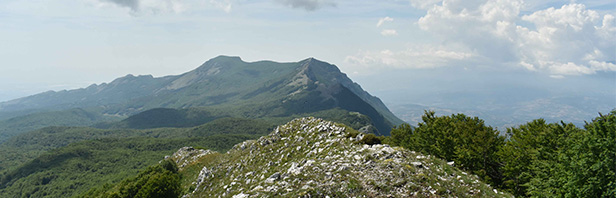 Cima degli alburni, anello classico - domenica 13 giugno 2021