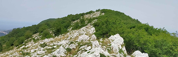 Da Passo del Vesole traversata per la sorgente Grermanito - 20 giugno 2021