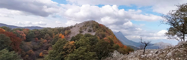 Un anello per Monte La Marta - alburni orientali - domenica 31 ottobre 2021