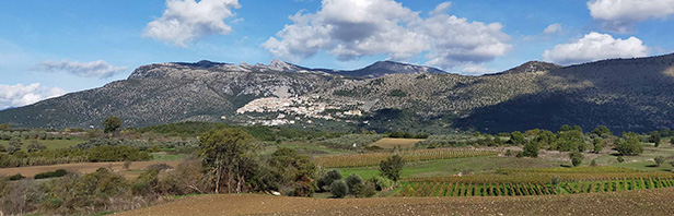 Grande anello per Monte Spina dell'Ausino - alburni orientali - domenica 14 novembre 2021