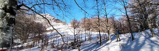 Anello per Monte Tirone - ciaspolata sui monti alburni - domenica16 gennaio 2022