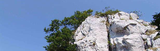 Monti Alburni - Cima del Monte Urto 7 agosto 2015