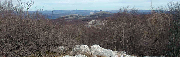 Monti Alburni Orientali: da Casino Sierro A Monte Piazza Ceraso e Monte Spina Dell'Ausino 6 Febbraio 2016