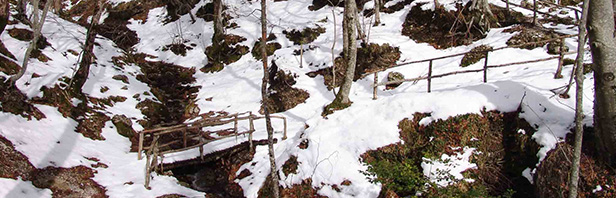 Monte Polveracchio: Oasi del Wwf 24 gennaio 2016