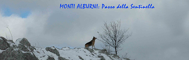 Monti Alburni: Passo della Sentinella - domenica 8 gennaio 2017
