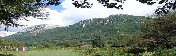 Laurino: Monte Vesole