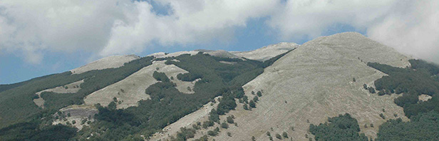Monte Cervati : affondatore di Vallevona - 10 agosto 2016
